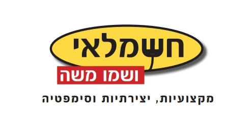 חשמלאי ושמו משה